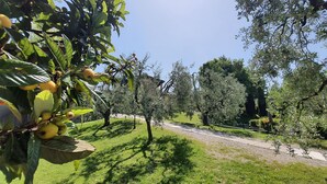 Ein Weg durch einen Garten mit Bäumen und einem Gebäude im Hintergrund.