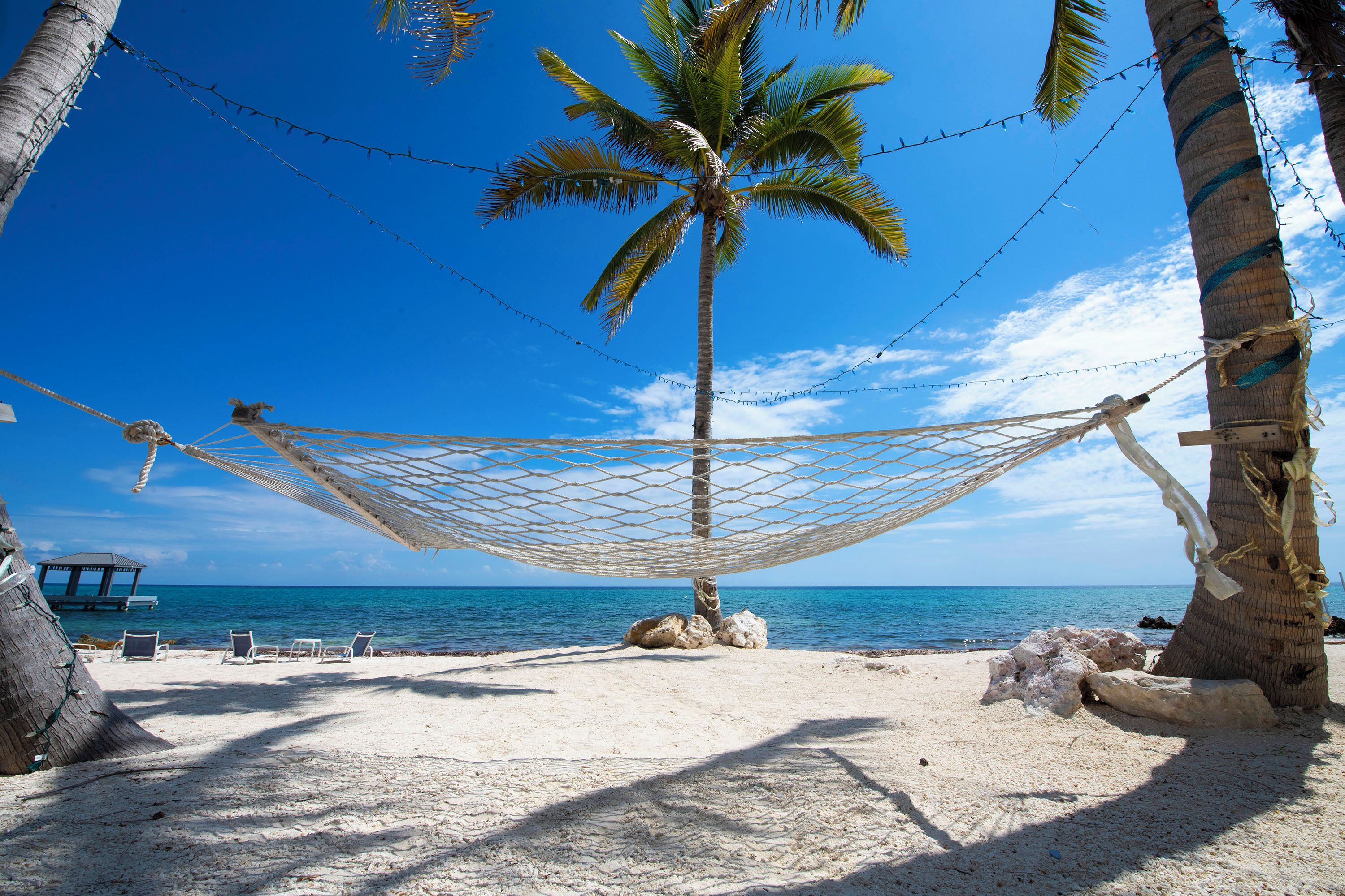 A hammock tied between palm trees on a sandy beach with clear blue water in the background.