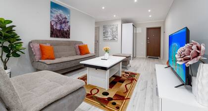 Stylish Apartment For up to 4 Guests With WiFi, Free Parking