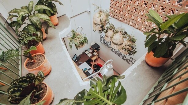 A small, cozy room with a desk, chair, and potted plants. - Cama En Habitación Compartida Mixta En El Sector De La Candelaria - Medellín (Medellín)