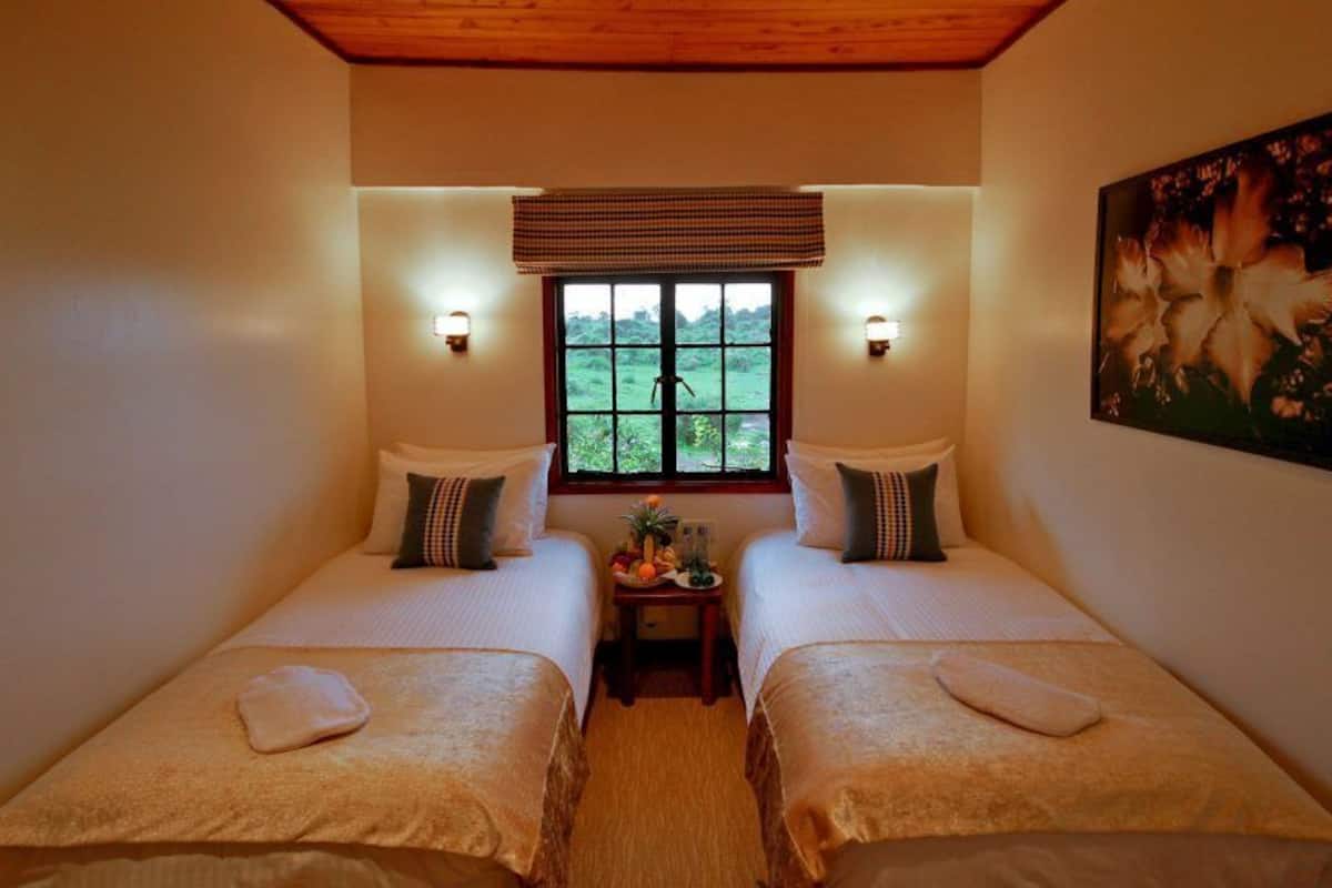 A room with two beds, a small table with fruit, a window with a view, and wall-mounted lights.