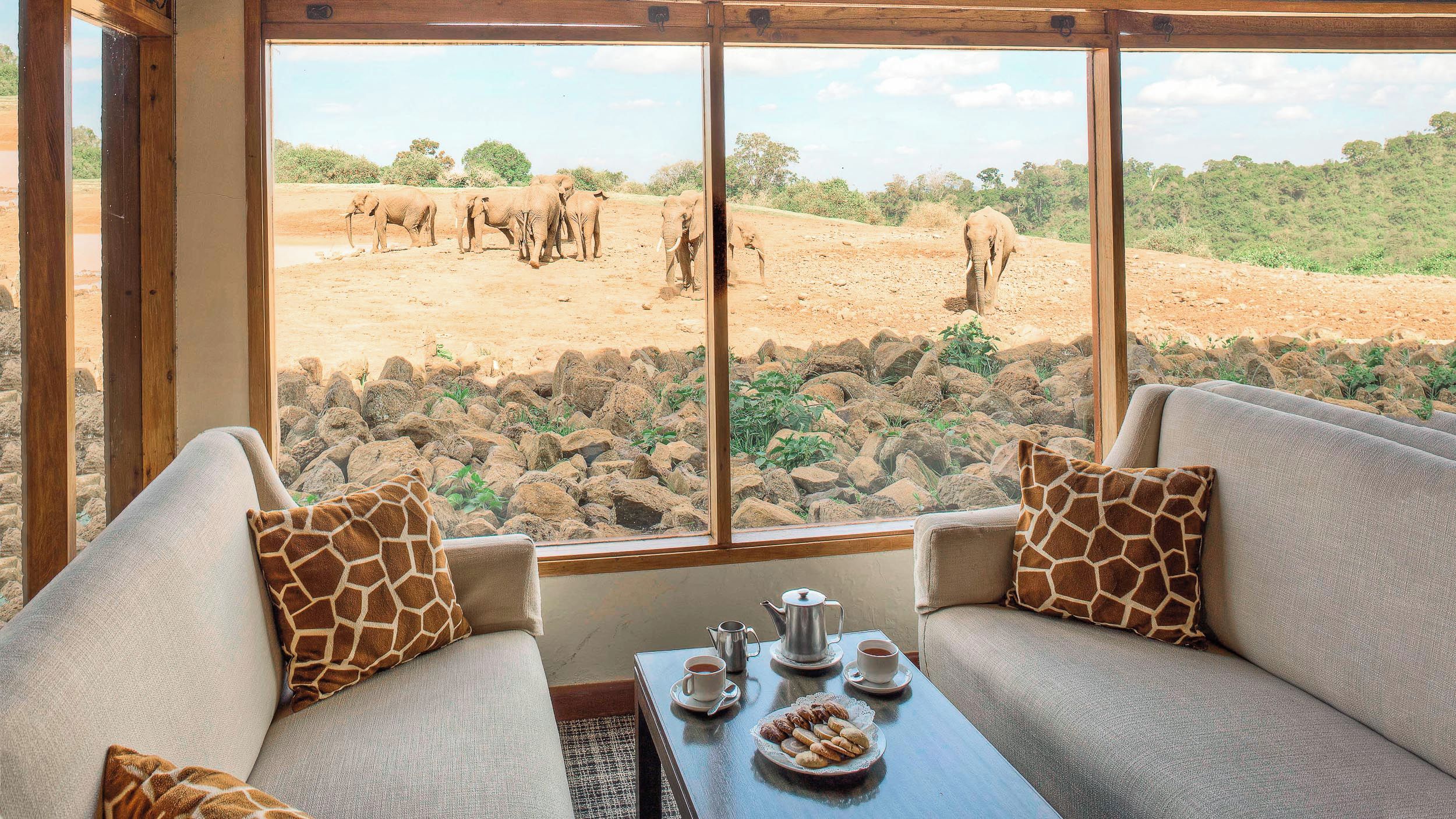 A room with a large window overlooking a savannah with elephants. There are two sofas with giraffe-patterned cushions, a table with a teapot, cups, and a plate of cookies.