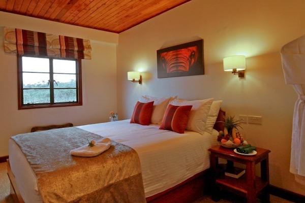 Internet por cable gratis