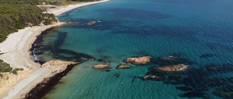 Lettini da mare