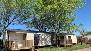 Two mobile homes with wooden decks, surrounded by trees and a clear sky. - ZEcamping familial avec piscine - proche Oléron (La Tremblade)