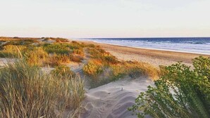 A beach with sand dunes and sparse vegetation. - ZEcamping 5 étoiles piscine couverte locatif 37m2 (Saint-Georges-d'Oléron)