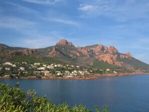 Imagen sin descripción, 2 de 20, botón