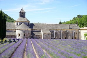 Punt d'interès