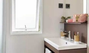 Bathroom features a sink, mirror, and shelf with a plant and decorative item.