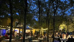 Un espacio de comedor al aire libre con mesas y sillas, rodeado de árboles y luces colgantes.
