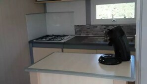 Fridge, microwave, stovetop