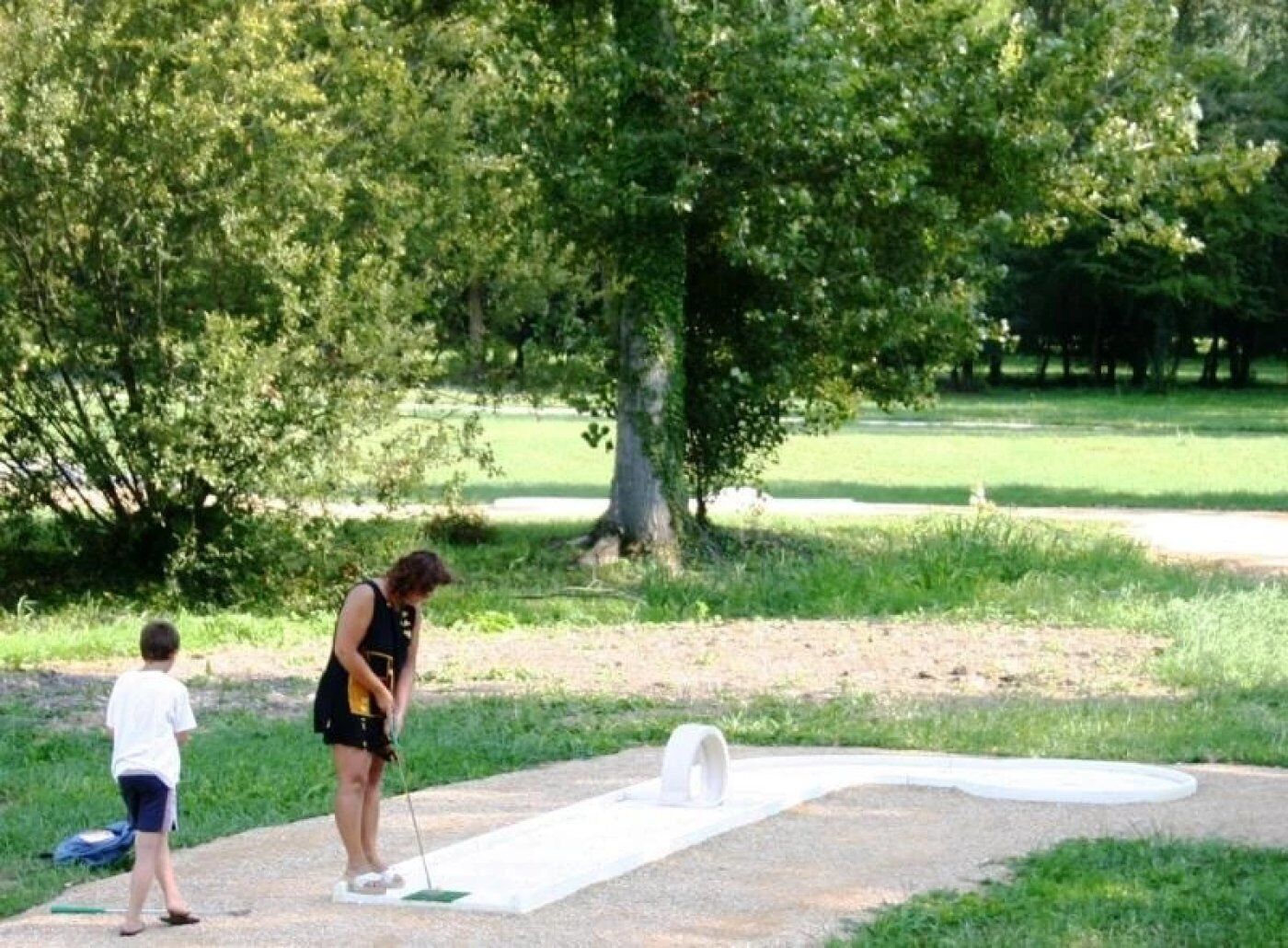 A person playing croquet on a green field with trees in the background.