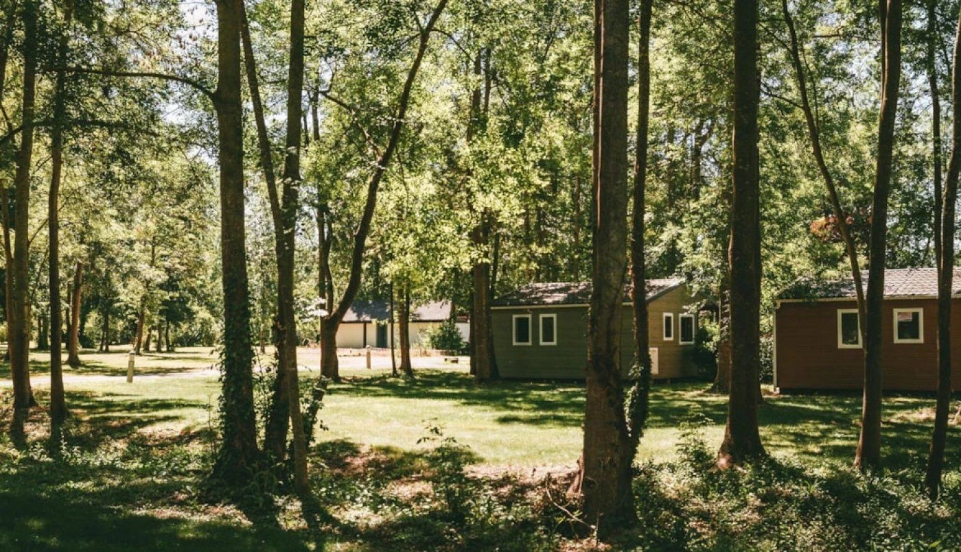 Une zone boisée comprenant plusieurs petits bâtiments, probablement des cabanes ou des chalets, entourée de grands arbres et d’une clairière herbeuse.