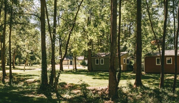 Un área boscosa con varias construcciones pequeñas, probablemente cabañas o casas de campo, rodeadas de altos árboles y un claro cubierto de césped.