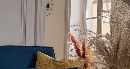 Chez Aristide, 3 to 7 ppl flat ideally located in Auxerre city center.