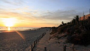 Ein Strand mit einer Holzumzäunung, sandigen Dünen und dem Meer.