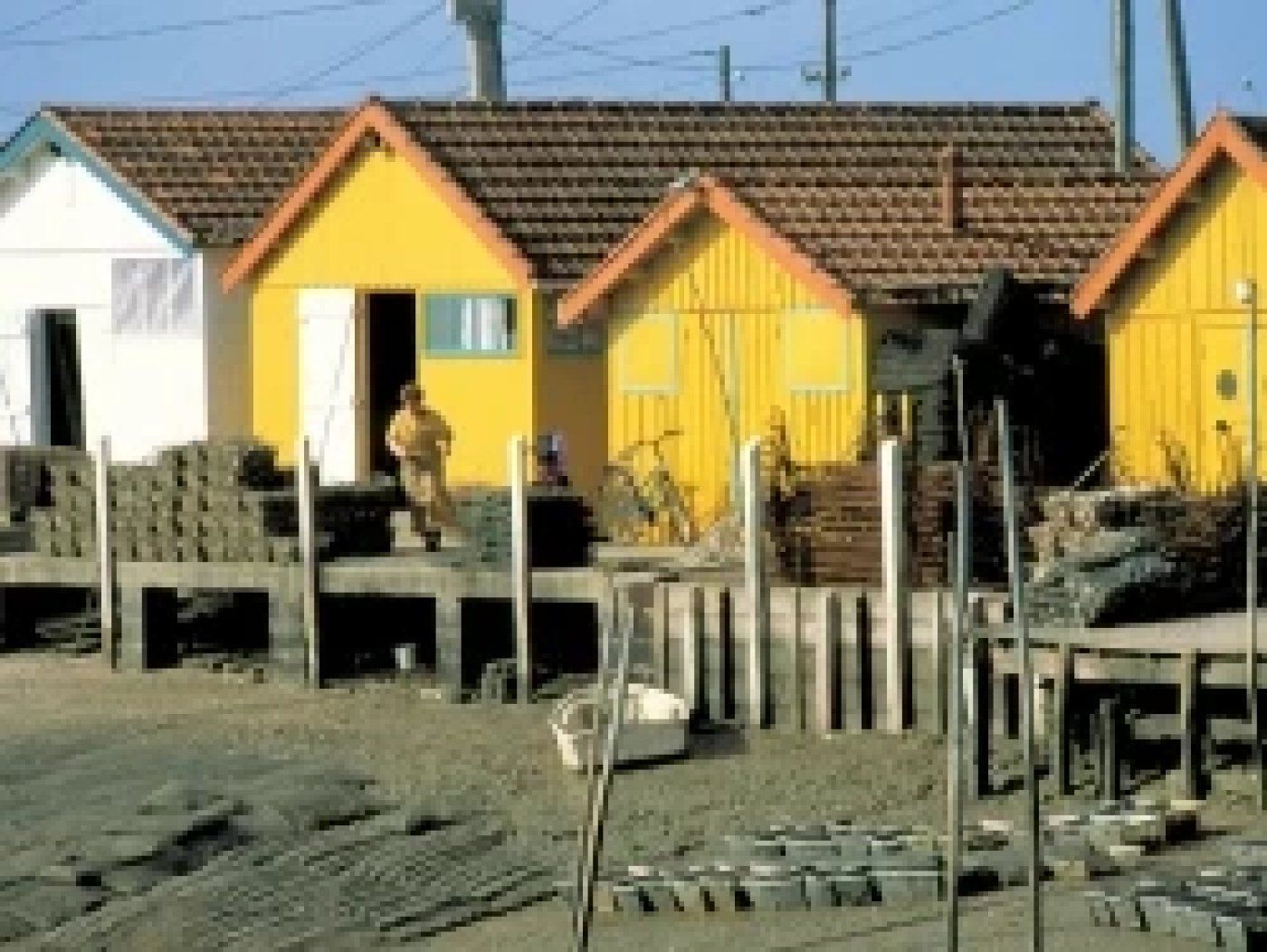 Fila de edificios de una sola planta con diseño sencillo y funcional, techos planos y fachadas en tonos blanco y amarillo.