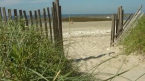 Ein sandiger Strand mit einer Holzumrandung und Vegetation im Vordergrund.
