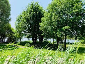 Un parc avec des arbres, un lac et une zone herbeuse.
