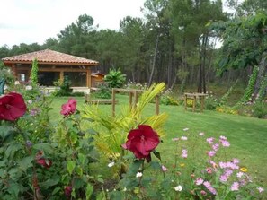 Escape to a serene garden oasis with lush greenery and a charming wooden structure.