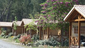 A row of wooden cabins with a covered porch area, surrounded by a forested landscape. - ZEcamping 4 étoiles animé chiens acceptés familial piscine couverte (Saint-Michel-Escalus)