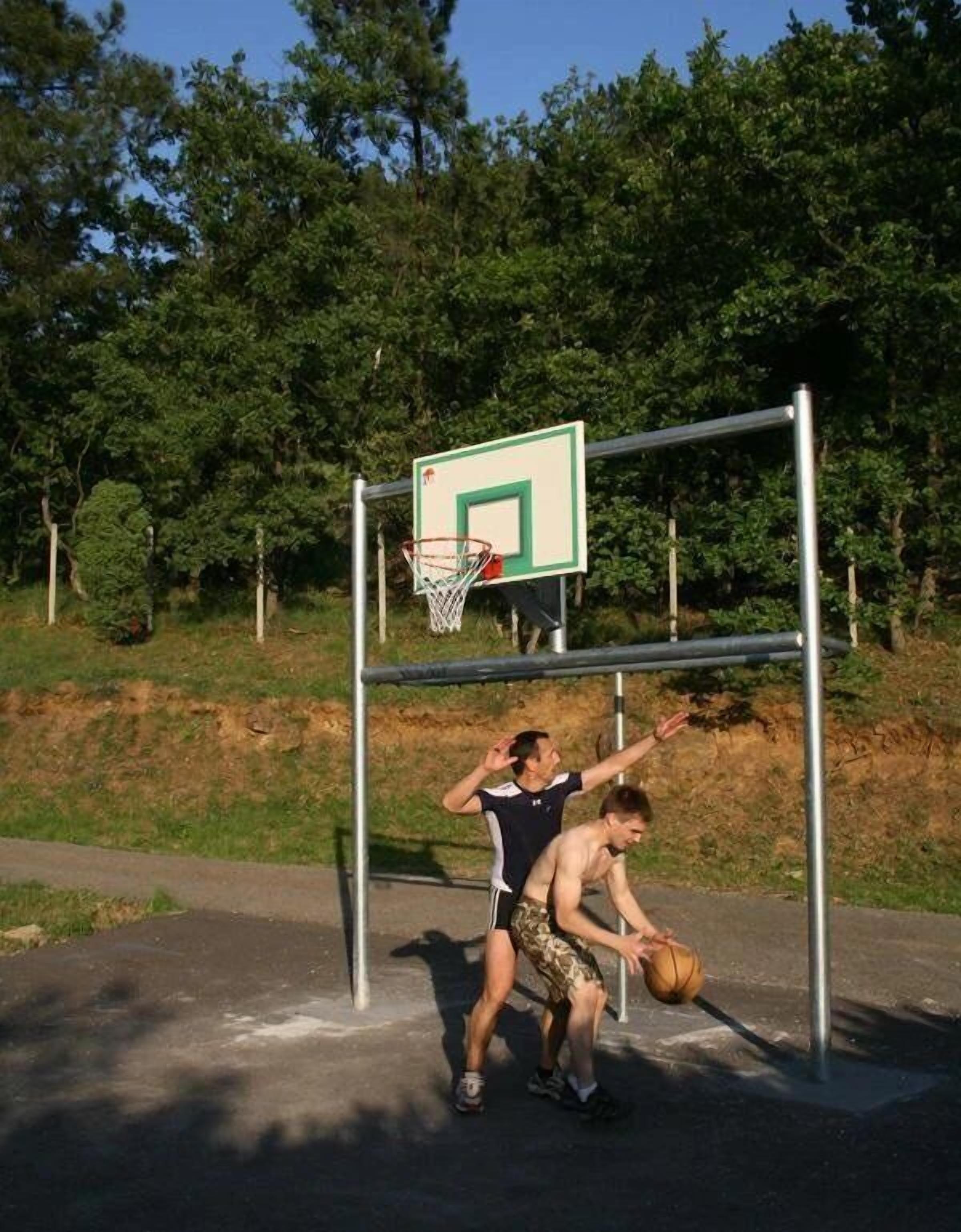 En basketkorg med nät, placerad med träd och en gräsyta som bakgrund.