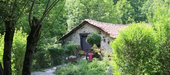Cabane - Piscine  - eec0cc