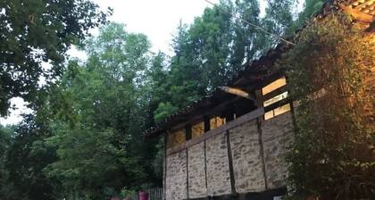 Cabane - Piscine - eec0cc