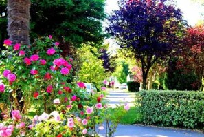 Stroll through a peaceful neighborhood lined with lush greenery and vibrant flowers.
