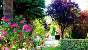 A garden with pink flowers and a pathway. - ZEcamping 4 étoiles 200m plage piscine couverte locatif TV LV BBQ 32m2 (Névez)
