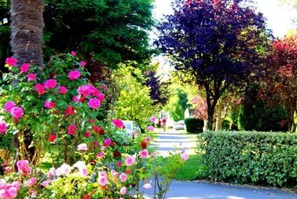 Property grounds - Camping 4 étoiles - Piscine  - eec0hg (Névez)