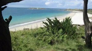 A beach with clear turquoise water, sandy shore, and some greenery in the foreground. - ZEcamping 4 étoiles 200m plage piscine couverte locatif TV LV BBQ 32m2 (Névez)