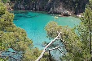 Unclassified image, 3 of 17, button