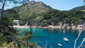 Unclassified image, 4 of 17, button