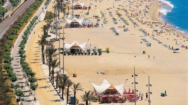 Un paisaje urbano costero con una playa amplia bordeada de palmeras y sombrillas.