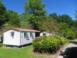 Unclassified image, 5 of 16, button