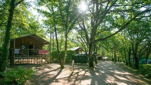 Eine rustikale Holzhütte mit Veranda, umgeben von dichtem Baumbestand und einem Kiesweg.