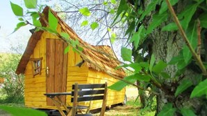 A wooden cabin with a thatched roof, a wooden door, and a bench outside. - ZEcamping piscine chauffée animaux acceptés sauna cabane BBQ 6m2 (Chassenard)