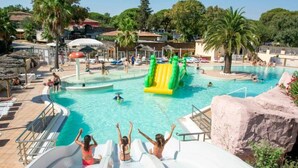 A swimming pool with a water slide, lounge chairs, and palm trees.