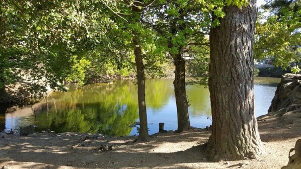 A natural setting with a calm body of water, trees, and a sandy area.