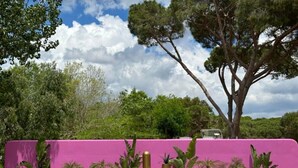 A pink wall with a golden sculpture in front of it, surrounded by palm trees and other greenery. - ZEcamping 3 étoiles familial locatif TV clim 30m2 4 pers (Platja d'Aro)