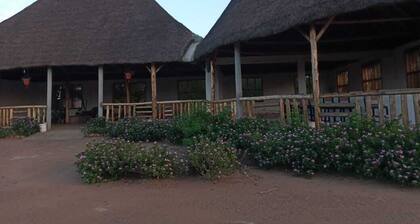 Euphorbia Safari Lodge