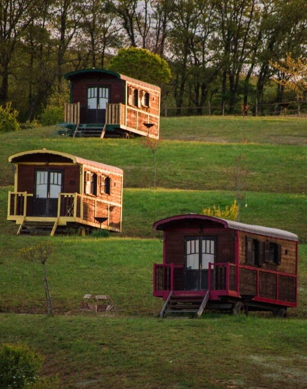 Imagen sin descripción, 1 de 25, botón