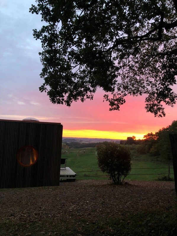 Billede uden beskrivelse, 1 af 25, knap