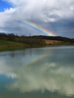 Unclassified image, 3 of 26, button