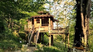 Eine Holzjagdhaushälfte mit einer Treppe, umgeben von Bäumen und Löwenzahn.