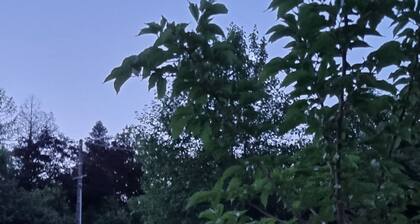 Chalet Hautes Vosges Bussang 500m du Théâtre du Peuple Clos sur 1200m2