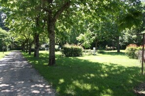 Un sentier qui traverse un parc, avec des arbres et des zones herbeuses.