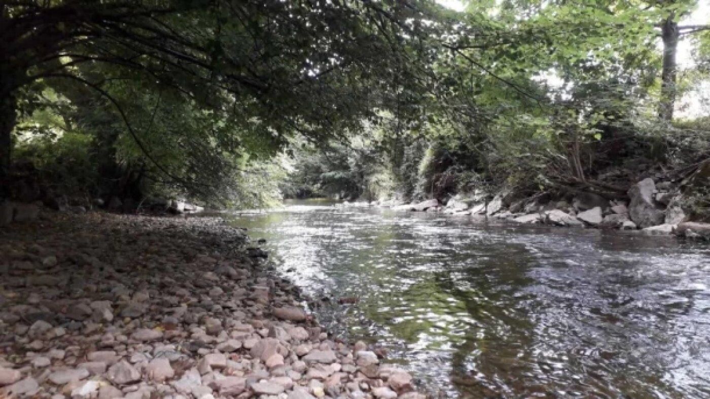 Un río con rocas y árboles.