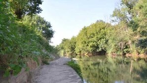 Ein schmaler, unbefestigter Weg entlang eines ruhigen Flusses, umgeben von dichtem Grün.